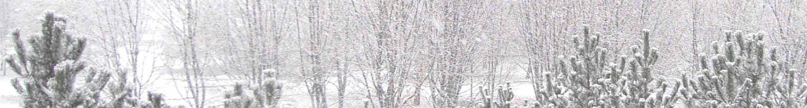 winter